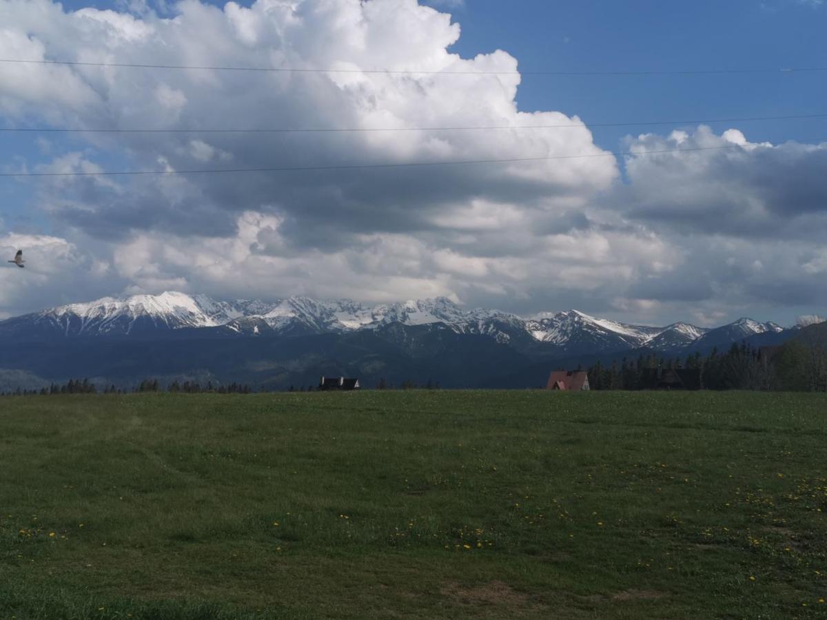 Dom Wczasowy Na Szczycie Zakopane Esterno foto